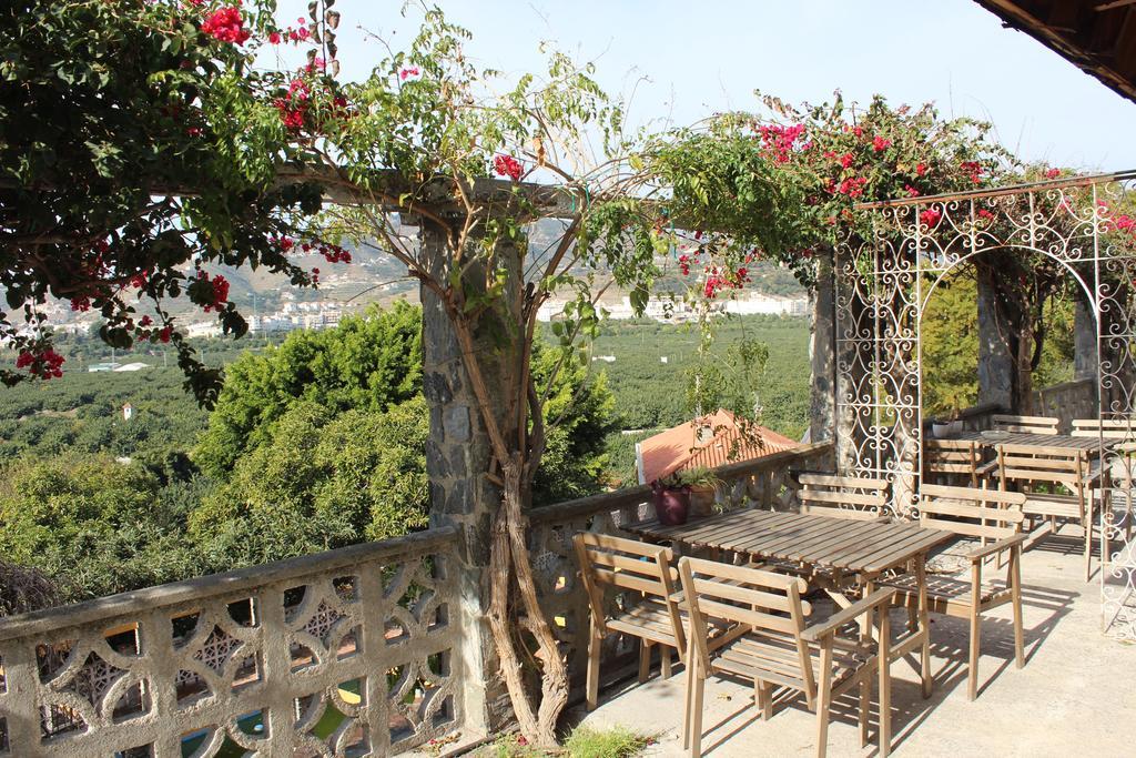 Camping Tropical Almuñécar Δωμάτιο φωτογραφία