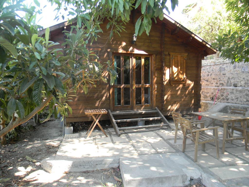 Camping Tropical Almuñécar Εξωτερικό φωτογραφία